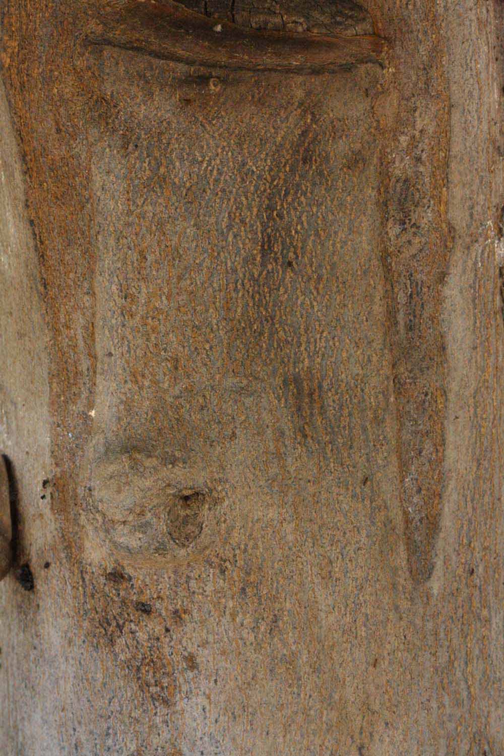            Bark (Riverside, CA)   